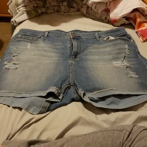 NWOT Levi Strauss Shorts